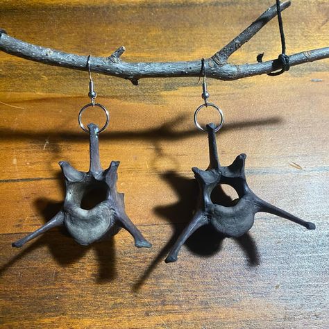 Real Dyed Coyote Vertebrae Bone Earrings - Ethically sourced - >> Available for purchase on Poshmark and Mercari. Check my bio for the links to them. << #goth #gothic #gothicstyle #gothicfashion #gothfashion #punkstyle #festivalfashion #grungestyle #grungefashion #bouquetofbones #poshmark #mercari #mercariseller #taxidermy #taxidermist #vultureculture #bones #oddities #oddity #animalbone #animalbones #animalbonejewelry #vulturecultureart #vultureculturejewelry #postapocalyptic #avantgarde #... Bone Display, Bone Collecting, Bone Decor, Animal Bone Jewelry, Vulture Culture, Bone Crafts, Bone Earrings, Bone Jewelry, Animal Bones