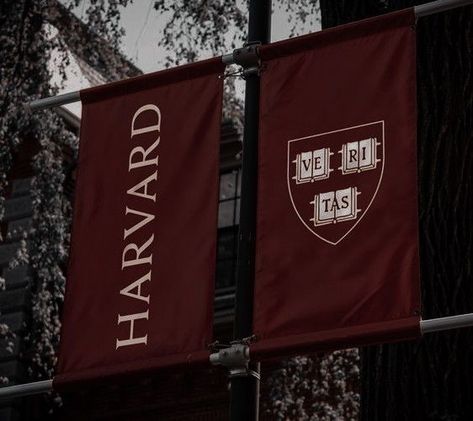 Harvard Campus Aesthetic, Harvard University Medical School, Harvard Law Aesthetic, Harvard Aesthetic Wallpaper, Harvard Law School Aesthetic, Harvard Medical School Aesthetic, Aesthetic Harvard, Harvard Student Aesthetic, Harvard University Aesthetic