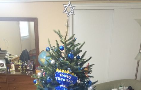 Putting up a Hanukkah bush isn’t a sign of assimilation; for Daniel J. Solomon, it’s actually a subversive act. Hanukkah Bush, Jewish Hanukkah, Messianic Jewish, Jewish Holidays, Diy Birthday Gifts, Diy Birthday, A Sign, Hanukkah Wreath, Hanukkah