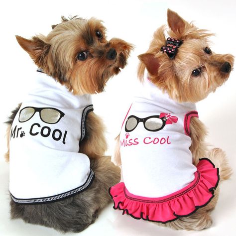 COOL New Spring & Summer Arrivals at Daisey's Doggie Chic.. Lookin' Good! Cool Shades, Dog School, Best Tank Tops, Dog Clothing, Pet Fashion, White Charcoal, Dog Costumes, White Hot, Cool Sunglasses