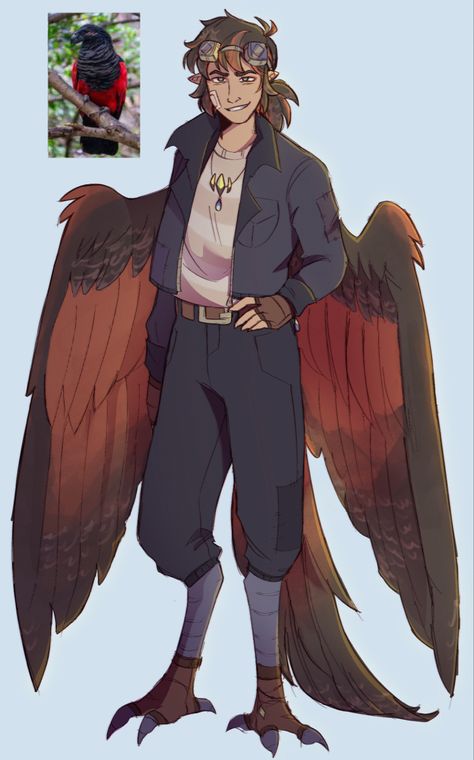 Based off Dracula Parrot Dracula Character Art, Bird People Anatomy, Avian Oc Design, Winged People Poses, Bird People Oc, Peacock Tail Drawing, Harpy Dnd Character, Animal Superhero Oc, Bird Human Oc