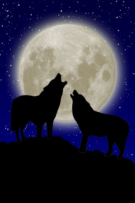 Moon:  Wolves howl at the #Full #Moon in the night sky. Wolves Howling At The Moon, Moon In The Night Sky, Lonely Wolf, Wolves Howling, Full Moon Tonight, Wolf Silhouette, Two Wolves, Wolf Artwork, Wolf Painting