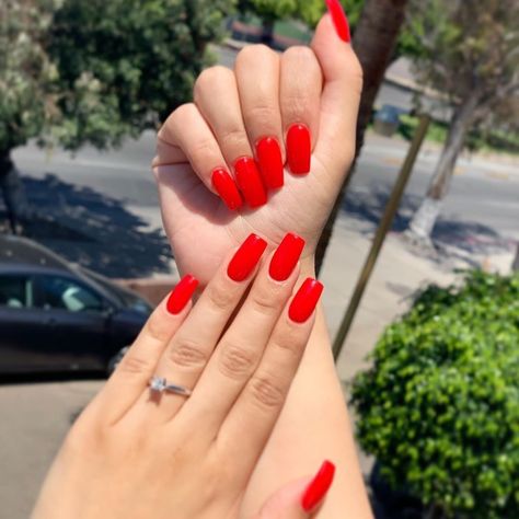 DND Gel Official on Instagram: “Lady in Red #632 💃 .⁣ .⁣ .⁣ Photo Credit 📸: @nailsbyliz18⁣ .⁣ .⁣ .⁣ #dndgelpolish #dndgel #dndpolish #rednails #redacrylicnails…” Candy Apple Red Nails, Apple Red Nails, Red Gel Polish, Bright Red Nail Polish, Dnd Nail Polish, Red Gel Nails, Bright Red Nails, Dnd Gel Polish, Red Manicure