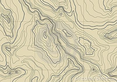 Abstract topographic map. vector Topographic Map Art, Landform, Map Murals, Map Pattern, Map Skills, Feature Wallpaper, Contour Map, Topo Map, Arte Sketchbook