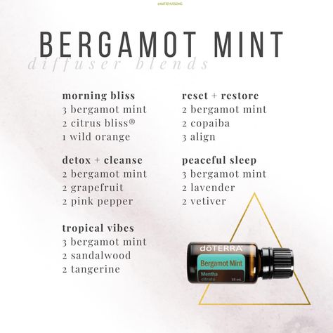 Mint Diffuser Blends, Doterra Oils Recipes, Eo Blends, Doterra Blends, Doterra Recipes, Doterra Diffuser, Doterra Diffuser Blends, Life Essentials, Mint Essential Oil