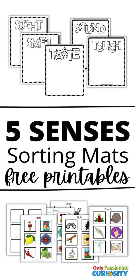 5 Senses Ideas For Preschool, Free 5 Senses Printables, 5 Senses Toddler Crafts, Five Senses Printables Free, Easy Science For Kindergarten, Our Five Senses Preschool, 5 Senses For Kindergarten, 5 Senses Lessons Kindergarten, Five Senses For Kindergarten