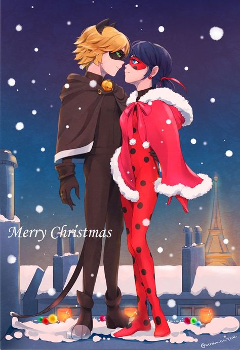 Cat Noir Christmas, Miraculous Ladybug Christmas, Ladybug Und Cat Noir, Ladybug And Cat Noir, Miraculous Ladybug Wallpaper, Ladybug Anime, Marinette And Adrien, Tyler Posey, Super Cat