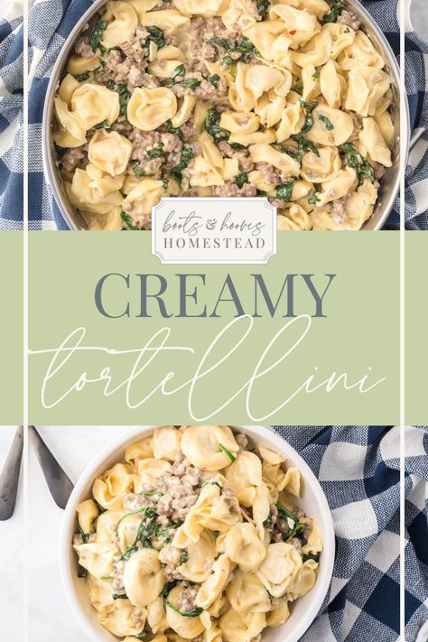 Creamy Tortellini with Italian Sausage is a hearty Italian pasta dinner that is rich in flavor and a snap to make in one pot. This recipe for creamy tortellini with Italian sausage is incredibly tasty & satisfying. It’s a great comfort food that takes minimal effort to make. In fact, this is a 30 minute meal! So, this yummy tortellini dinner recipe makes an excellent weeknight dish. Tortellini With Italian Sausage, Italian Pasta Dinner, Cheese Tortellini Recipes, Ground Sausage Recipes, Tortellini Recipe, Creamy Tortellini, Sausage Tortellini Soup, Spinach Tortellini, Sausage Tortellini