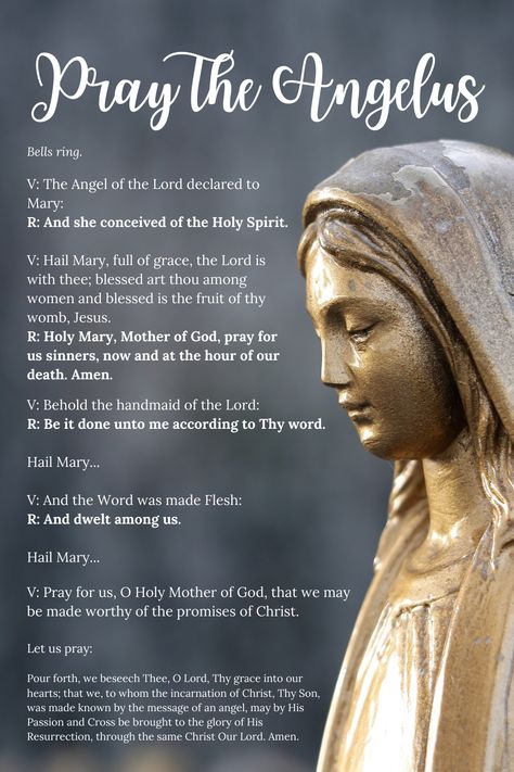 When To Pray, Angelus Prayer, Praying The Rosary Catholic, Catholic Saints Prayers, The Angelus, Catholic Prayers Daily, Catholic Doctrine, Catholic Beliefs, Novena Prayers