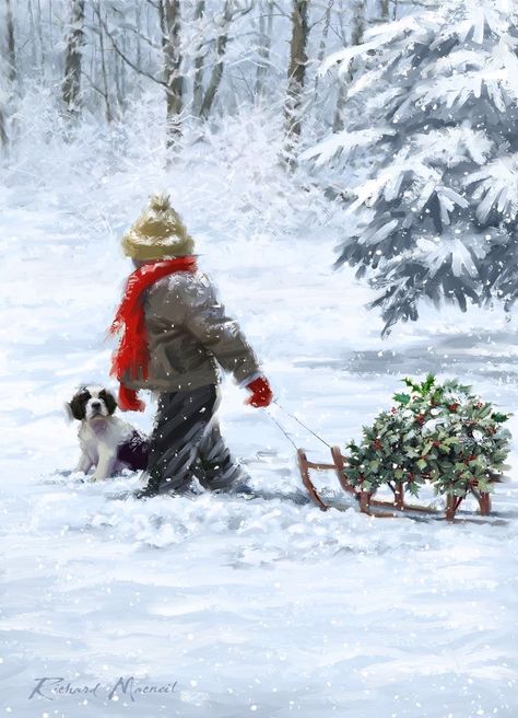 Sled, The Snow, A Child, Walking, Christmas Tree, Dogs, Christmas