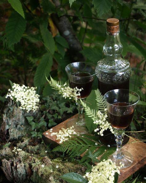 Mirkwood Elderflower Cordial by Realm of Yavanna Silvan Elves, Elderberry Wine, Elderflower Cordial, Nature Witch, Woodland Cottage, Folk Magic, White Table Cloth, Witch House, Beltane