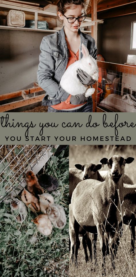 Dream Homestead, Miniature Goats, Homestead Blog, Types Of Farming, Off Grid Homestead, Homesteading Diy, Homestead Farm, Farm Layout, Homesteading Skills