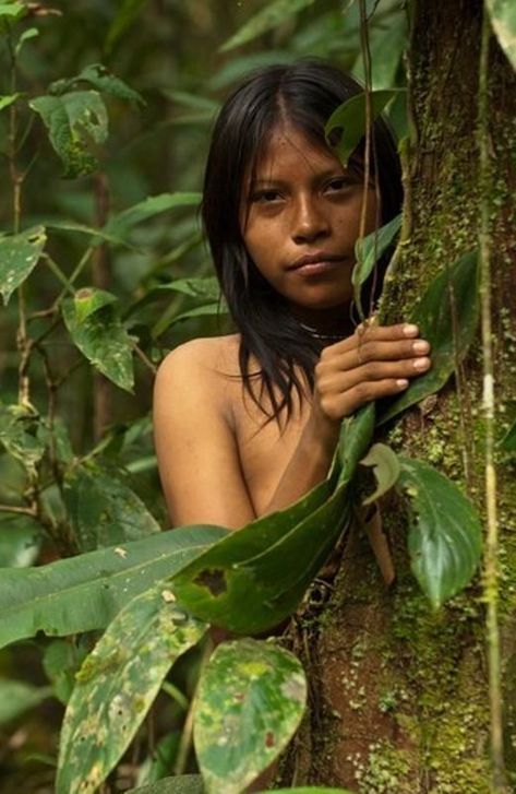 Rainforest Tribes, Rainforest People, Amazon People, Amazon Tribe, Indigenous Tribes, Indigenous Culture, Amazon Rainforest, People Of The World, Real Beauty