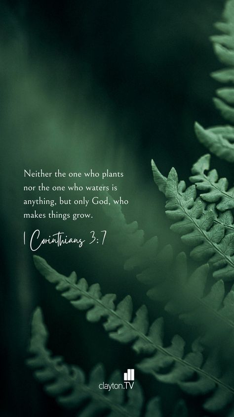 1 corinthians god jesus christian nature green wallpaper lockscreen bible verse quotes Powerful Bible Verses Wallpaper, Green Bible Verse Wallpaper, Green Wallpaper Lockscreen, Nature Bible Verses, Bible Verse Lockscreen, Nature Green Wallpaper, English Bible Verses, Gods Promises Quotes, Apothecary Herbs