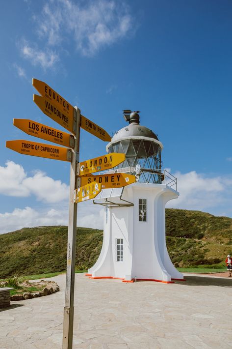 Cape Reinga, 90 Mile Beach and giant sand dunes in Northland New Zealand. New Zealand travel guide. New Zealand photography. Things to do in New Zealand. Places to see in New Zealand. Cape Reinga New Zealand Cape Reinga New Zealand, Christchurch New Zealand Aesthetic, Northland New Zealand, New Zealand Lifestyle, Auckland New Zealand Aesthetic, New Zealand Aesthetic, New Zealand Photography, Cape Reinga, New Zealand Beach