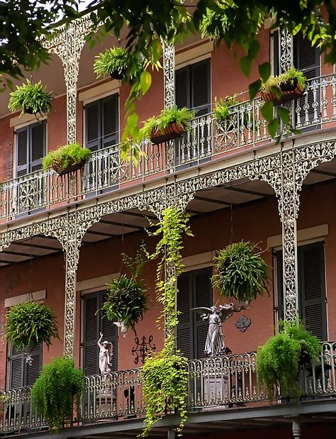 New Orleans - French Quarter "Cast-Iron Balcony" Cultured Marble Shower Walls, French Quarter Decor, Cultured Marble Shower, Las Vegas Luxury Hotels, Marble Shower Walls, Vegas Hotel Rooms, New Orleans Decor, New Orleans Architecture, Louisiana Style