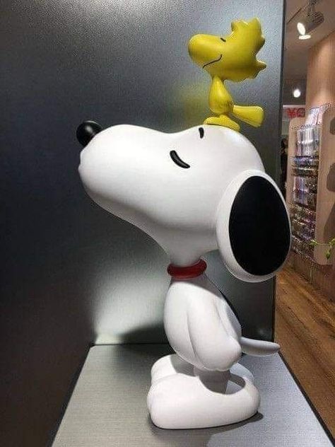 Animal Plates, Snoopy Dog, Peanuts Charlie Brown Snoopy, Snoopy Images, Snoopy Wallpaper, Snoopy Quotes, Snoopy Pictures, Snoop Dog, Snoopy Woodstock