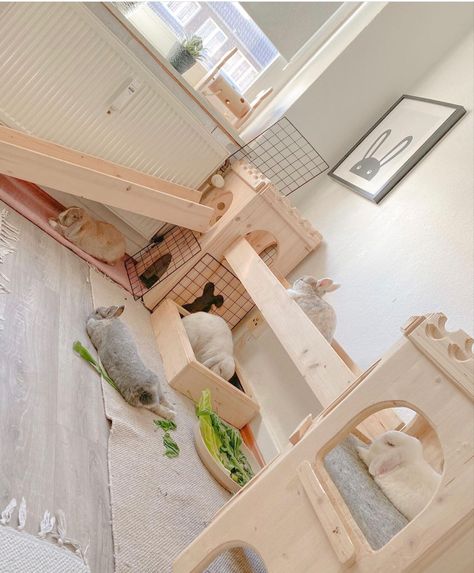 Rabbit Apartment Set Up, Luxury Rabbit House, Rabbit Cage Under Loft Bed, Aesthetic Bunny Setup, Rabbit Corner Ideas, Bunny Bedroom Ideas, Bunny Indoor Habitat, Bunny House Ideas, Bunny Home Ideas