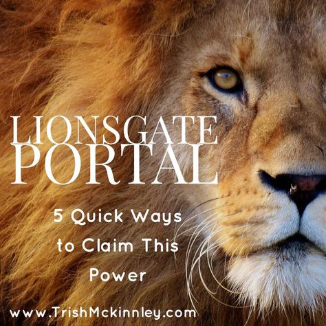 Lionsgate Portal brings an energetic, spiritual and vibrational upgrade. I’m going to be sharing 5 Quick Ways to claim this energy, but this is why it matters. You may already be experiencing it! Lionsgate Portal, Animal Meanings, Animal Reiki, Animal Spirit Guide, Astrology Pisces, Lions Gate, New Moon Rituals, Animal Guides, Power Animal