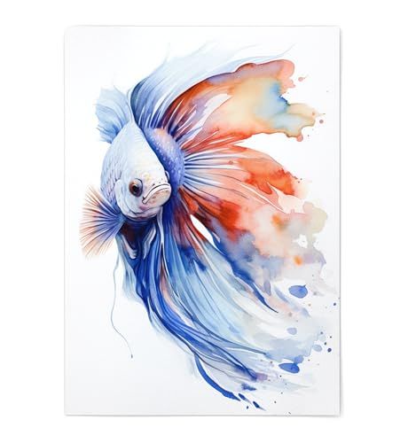 Betta Fish Print - Betta Fish Wall Decor - Betta Fish Print Poster Unframed - Watercolor Betta Fish Print - Betta Fish Portrait - Betta Fish Artwork Illustration (5x7) Watercolor Beta Fish, Fish Portrait, Fish Artwork, Fish Wall Decor, Beta Fish, Fish Print, Betta Fish, Posters Prints, Print Poster