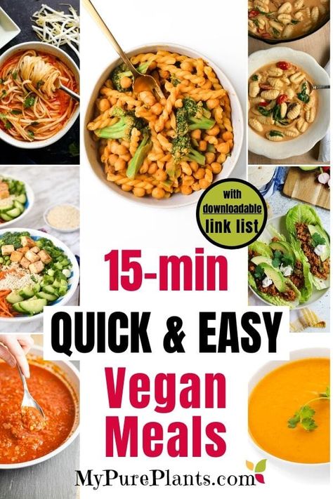 Quick & Easy Vegan Meals (ONLY 15 minutes!) - My Pure Plants Lunches To Go, Vegan Recipes Easy Quick, Easy Vegetable Stir Fry, Easy Vegan Meals, Vegan Pasta Dish, Easy Vegan Lunch, Quick Easy Vegan, Quick Vegan Meals, Quick Vegan