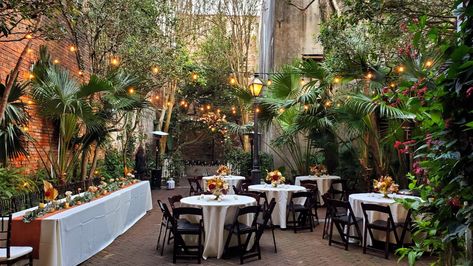 New Orleans Pharmacy Museum Pharmacy Museum Wedding, Museum Wedding Venues, New Orleans Party, Louisiana Wedding, Garden Venue, Venue Rental, Pakistani Wedding Dress, Ceremony Seating, New Orleans Wedding