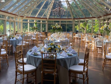 Atrium Wedding, Pittsburgh Wedding Venues, Indoor Wedding Receptions, Pittsburgh Wedding, Weddings By Color, Inexpensive Wedding Venues, Outdoor Wedding Reception, Pittsburgh Weddings, Conference Center