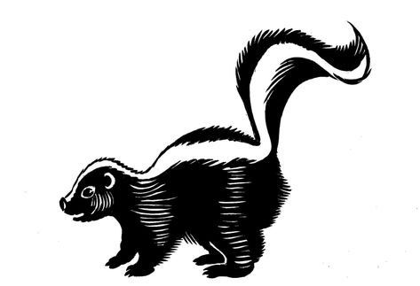 Skunk Sketch, Skunk Aesthetic, Skunk Clipart, Skunk Illustration, Skunk Tattoo, Skunk Drawing, Clip Drawing, White Skunk, Wood Burning Patterns Stencil