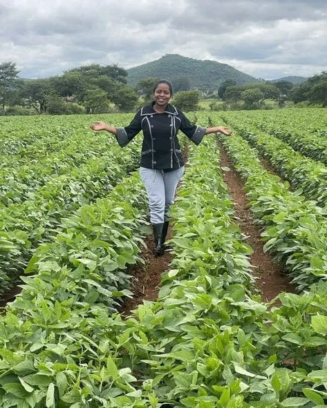 AGRICULTURE should not be looked at just as a Way of Life but much as as Way of Profit Making. #InvestWisely❗ Agriculture Photos, Farming Ideas, Natural Farming, Hydroponic Gardening, A Way Of Life, Future Life, Inspiration Art, Zambia, Hydroponics