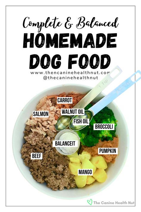 Beef and Salmon Homemade Dog Food Recipe - bowl of dog food contains beef, salmon, carrots, broccoli, pumpkin, mango, fish oil, walnut oil, and balanceIT supplement. Cooked Dog Food, Dog Food Recipes Crockpot, Foods Dogs Can Eat, Home Cooked Dog Food, Cook Dog Food, Dog Food Recipe, Raw Dog Food Diet, Diy Dog Food, Make Dog Food