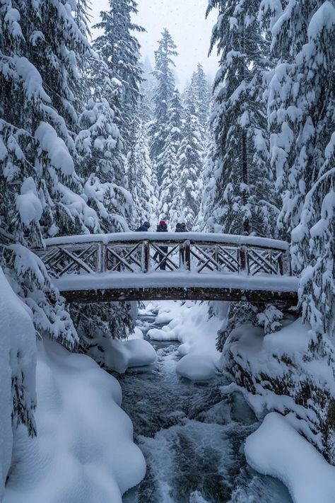 "❄��️🏞️ Experience the magic of a winter wonderland in Whistler, Canada! From powdery snow to cozy lodges, discover everything you need for the perfect snowy escape. Swipe for your next snowy adventure! ⛷️🌨️ #Whistler #WinterWonderland #SnowFun" Winter In Alaska, Canada Aesthetic Winter, Whistler Aesthetic, Whistler Canada Winter, Canada Wonderland, Aesthetic Winter Wonderland, Whistler Winter, Canada Whistler, Winter In Canada