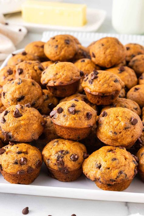 Easy Pumpkin Chocolate Chip Muffins, Gluten Free Protein Muffins, Mini Thanksgiving Desserts, Yummy Muffins, Pumpkin Protein Muffins, Paleo Pumpkin Muffins, Mini Pumpkin Muffins, Banana Protein Muffins, Mini Dessert Recipes