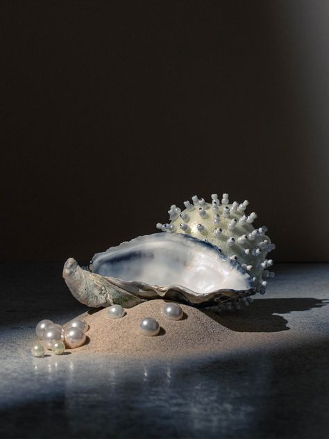 pearl, shell, oyster, sand, dark shadow photography Illustration Art Design, Brighton Uk, A Sea, Life Photography, Still Life Photography, Brighton, Still Life, Photography, Design