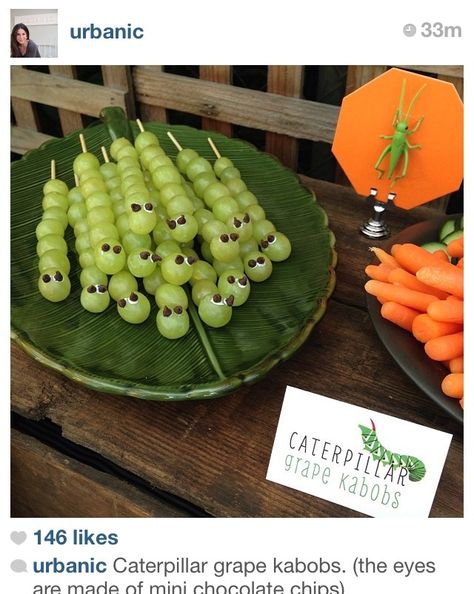 Nature Theme Birthday Party, Lizard Party, Bug Snacks, Shrek Party, Jungle Theme Birthday Party, Reptile Party, Wild Birthday Party, Lion King Birthday, Jungle Theme Birthday