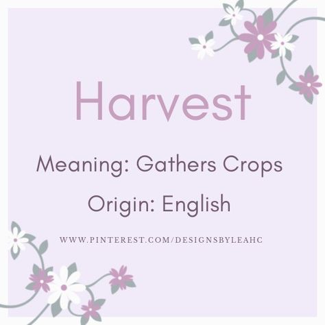 Baby Girl Name: Harvest. | Meaning: Gathers Crops. | Origin: English. || www.pinterest.com/designsbyleahc Juniper Name Aesthetic, Juniper Name Meaning, Juniper Meaning, Juniper Name, Fem Names, Greek Girl Names, Kingdom Names, Abs Art, Latin Names