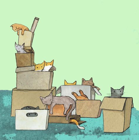 Cats in BOXES Lots of Daft Cats Doing One of Their Favourite - Etsy New Zealand Cat Cards Handmade, Cats In Boxes, Brown Paper Bags, Lots Of Cats, Litter Tray, Brown Paper Bag, Cat Box, Watercolour Gift, Cat Cards