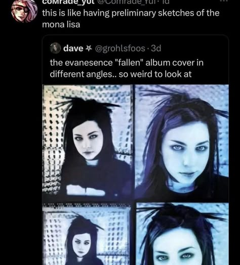 Fallen Album Cover, Different Pictures, Amy Lee, Scene Emo, Evanescence, Arte Inspo, Mötley Crüe, Emo Scene