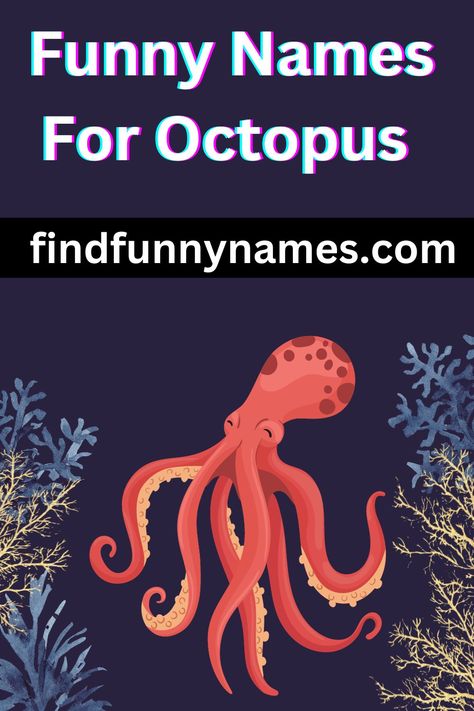 Get ready for a tidal wave of laughter with this hilarious collection of octopus names! Whether you're a fan of these eight-legged creatures or just looking for a good chuckle, we've got you covered. From pun-tactic plays on words to clever and quirky monikers, these names are guaranteed to make you crack a smile. #OctoPuns #SquidiculousHumor #LaughingWithTentacles #NameGame #SquidwardSquiggles #OctoHumor Fish Names Ideas Funny, Funny Names For Animals, Octopus Names, Silly Octopus, Friendly Octopus, Octopus Puns, Pun Names, Animal Sayings, Beach Humor