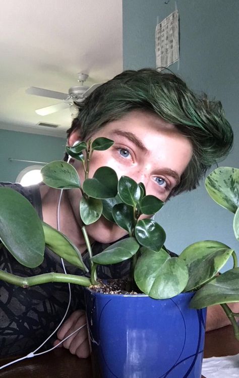 ima plant boy Jared Garber, Nolan Holloway, Green Hair Men, Froy Gutierrez, Aesthetic Boy, Character Inspo, Indoor Garden Ideas, Timothee Chalamet, Green Hair