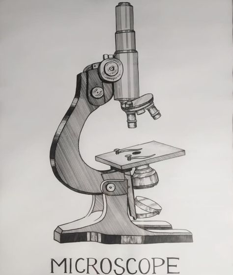 Biology Chart- Structure Of Microscope. Compound Microscope Drawing With Label, Compound Microscope Drawing, Microscope Drawing With Label, Microscope Sketch, Microscope Drawing, Compound Microscope, Science Textbook, Japanese Wallpaper, Japanese Wallpaper Iphone