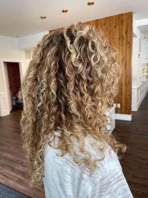 Fall Blonde Balayage Curly Hair, Root Melt Blonde Curly Hair, Curly Blonde Balayage Curls, Ash Blonde Balayage Curly Hair Natural, Blonde Hilights Curly Hair, Naturally Curly Blonde Balayage, Balayage Hair Curly Blonde, Blonde Hair With Lowlights Curly, Blonde Highlights For Curly Hair