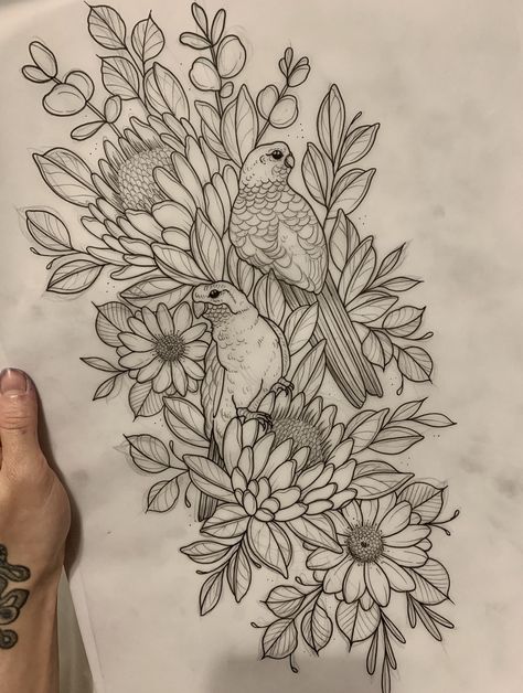 Australian Native Tattoo Sleeve, Native Bird Tattoo, Australian Bird Tattoo, Australian Floral Tattoo, Australian Native Flowers Tattoo, Australian Flora Tattoo, Australian Flower Tattoo, Australian Native Tattoo, Native Australian Flowers Tattoo