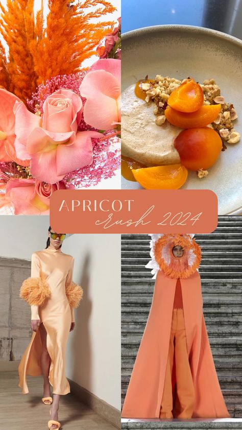 Apricot Outfit Aesthetic, 2024 Color Of The Year Outfit, Pantone Color Of The Year 2024 Fashion, Pantone 2024 Apricot Crush, 2024 Colours Of The Year, 2024 Wedding Colour Trends, Pantone Colour 2024, Pantone Trend Colors 2024, Apricot Crush Outfit