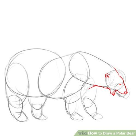 How to Draw a Polar Bear: 14 Steps (with Pictures) - wikiHow Draw A Polar Bear, Polar Bear Outline, Drawing Suggestions, Cartoon Polar Bear, Polar Bear Drawing, Bear Sketch, Bear Species, Polar Bear Art, Bear Images