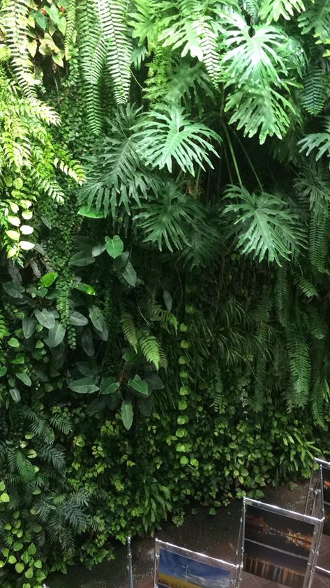 Green Wall Plants, Vertikal Garden, Vertical Garden Plants, Wall Green, Vertical Garden Design, Tropical Garden Design, Backyard Shade, Jungle Gardens, Vertical Garden Wall