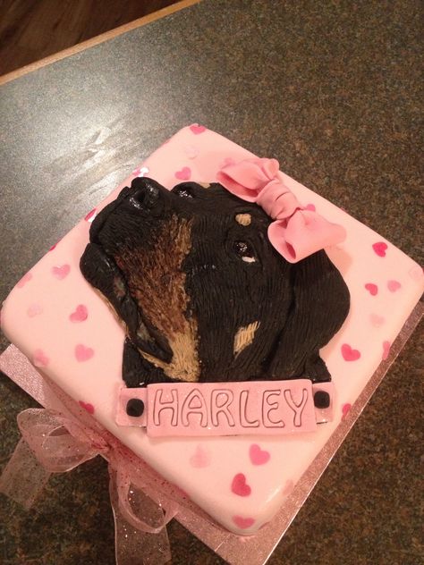 Rottweiler cake Rottweiler Cake, Buttercream Birthday Cake, Sweet Ideas, Baby Dogs, Rottweiler, Cake Ideas, Butter Cream, Birthday Cake, Pasta