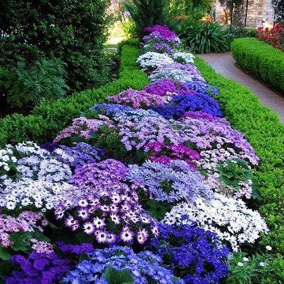 <3 Different Types Of Flowers, Secret Gardens, Have Inspiration, The Secret Garden, Garden Path, Gorgeous Gardens, Types Of Flowers, Lawn And Garden, Shade Garden