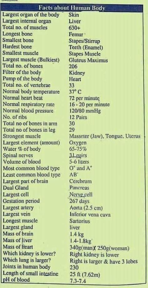 Basic Biology Terms, Medical Terminology Study, Learn Biology, Chemistry Basics, Human Body Facts, Basic Anatomy And Physiology, Nurse Study Notes, Nursing Student Tips, Biology Facts