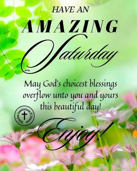 Happy Saturday Quotes, Happy Saturday Morning, Saturday Blessings, Good Morning Happy Saturday, Saturday Quotes, Good Morning Saturday, Happy Weekend Quotes, Good Morning Sweetheart Quotes, Stay Blessed