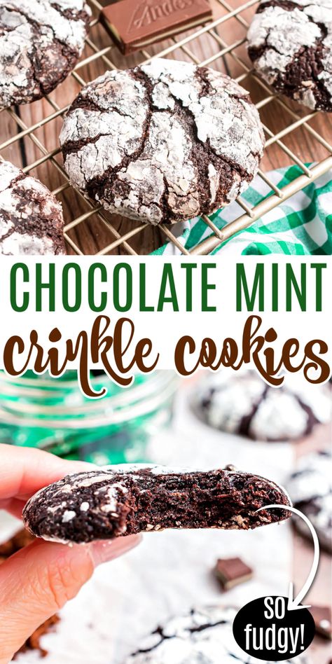 Chocolate Crinkle Cookies Recipe, Crinkle Cookies Recipe, Dark Chocolate Mint, Chocolate Crinkle, Chocolate Mint Cookies, Chocolate Crinkle Cookies, Festive Cookies, Chocolate Crinkles, Mint Cookies